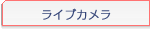 饤֥